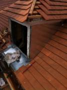 renovation tuile plates eclaron 6